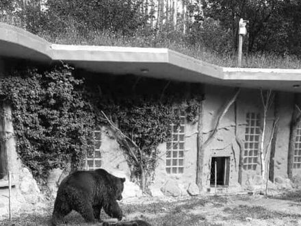 Neubau Bärenhaus im NUP Güstrow /Statik alle Leistungsphasen
