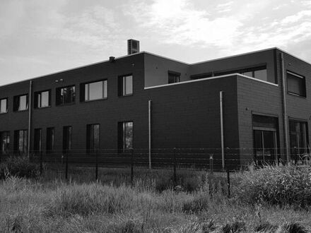 Neubau Geschäfthaus RODENT in Güstrow/Statik alle Leistungsphasen, Pfahlgründung